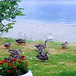 Estalagem Gradska Plaza Ada