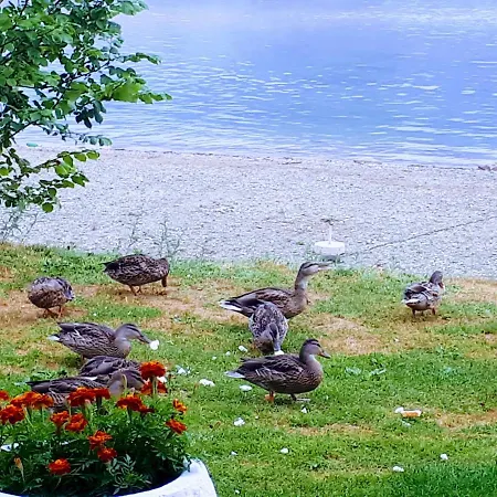 Fogadó Gradska Plaza Ada