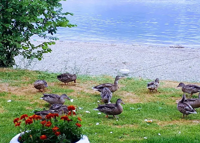 Gasthof Gradska Plaza Ada